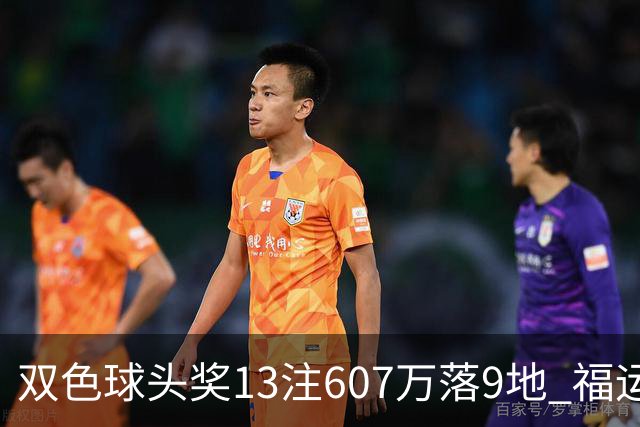 双色球头奖13注607万落9地 福运奖开1004万注