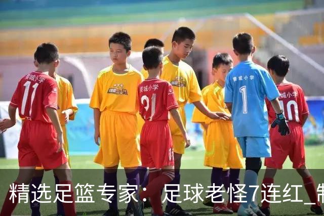 精选足篮专家：足球老怪7连红 制胜足彩6连红